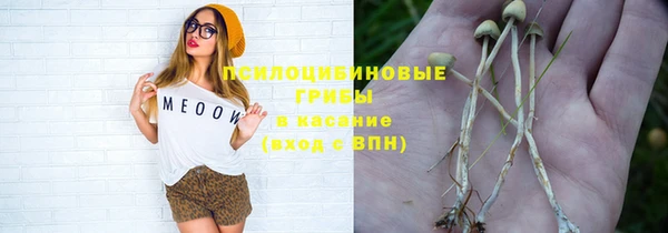 ECSTASY Володарск