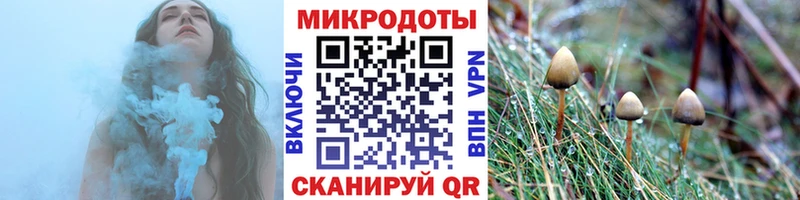 закладки  Дубна  Псилоцибиновые грибы GOLDEN TEACHER 